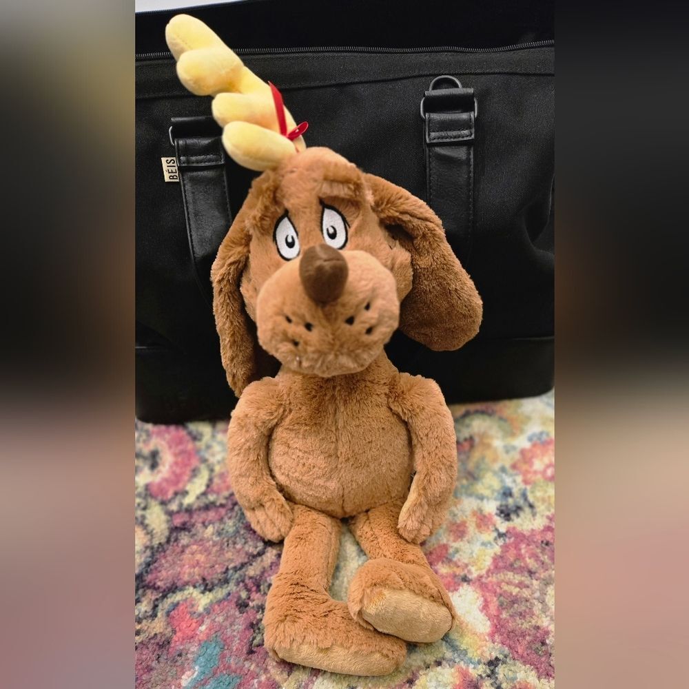 Aurora Dr. Seuss Max The Dog. NWOT